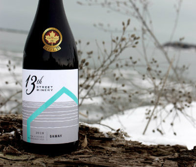 Gamay Noir 2016