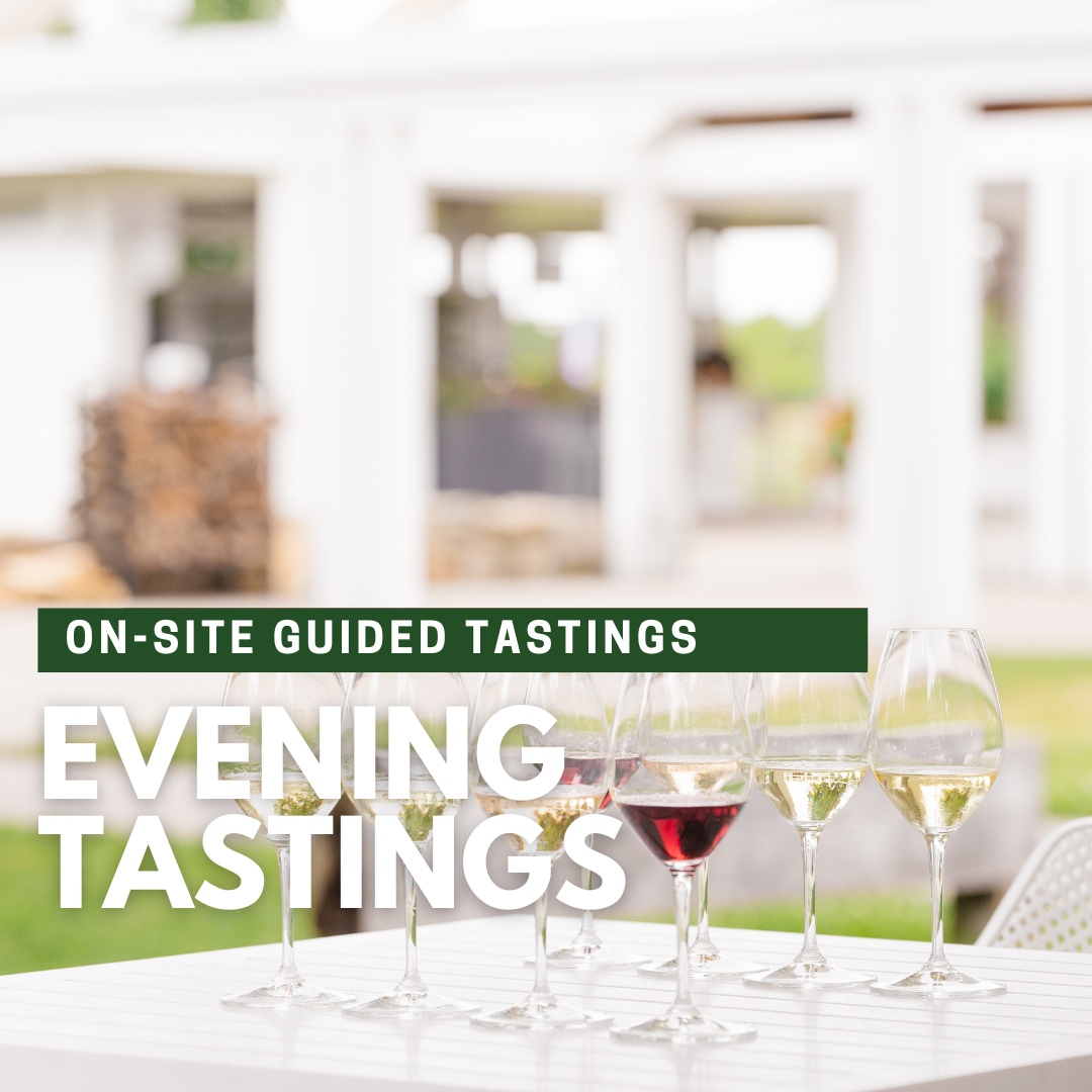 On-Site Guided Wine Evenings