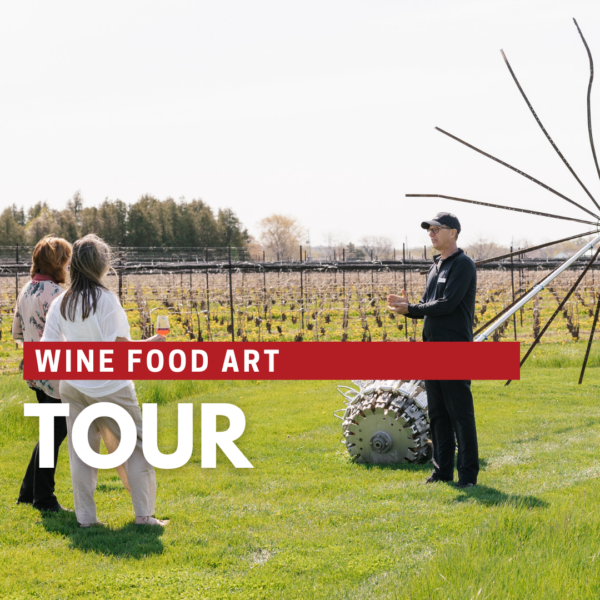 Wine Food Art Tour & Tasting