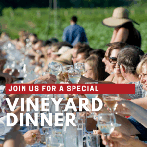 Vineyard Dinner August 2025