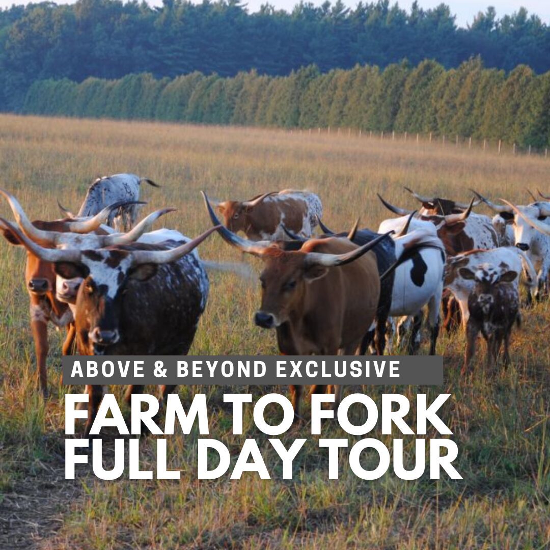 Above & Beyond Farm to Fork Full Day Tour